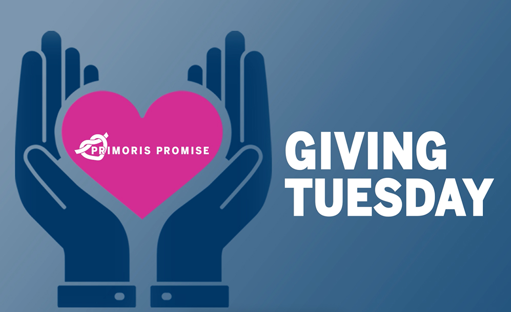 Primoris Annual Report 2022